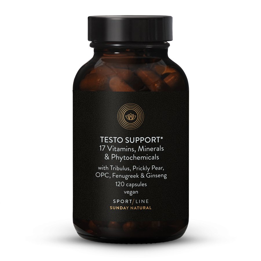 Testo Support Complex